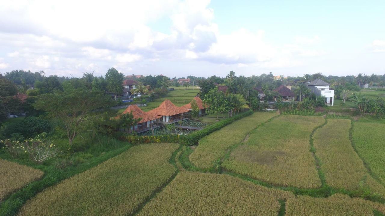 Mas  Griya Kcb Villa Ubud المظهر الخارجي الصورة