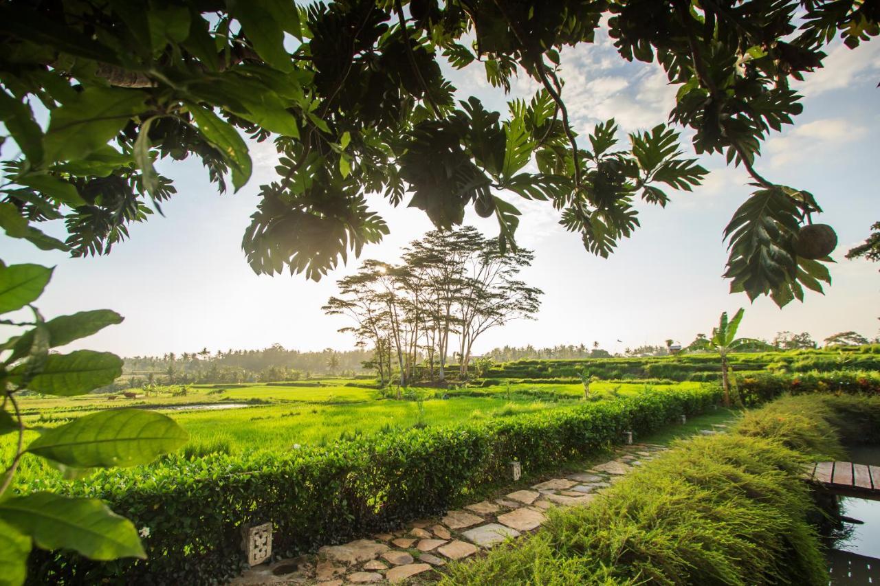 Mas  Griya Kcb Villa Ubud المظهر الخارجي الصورة