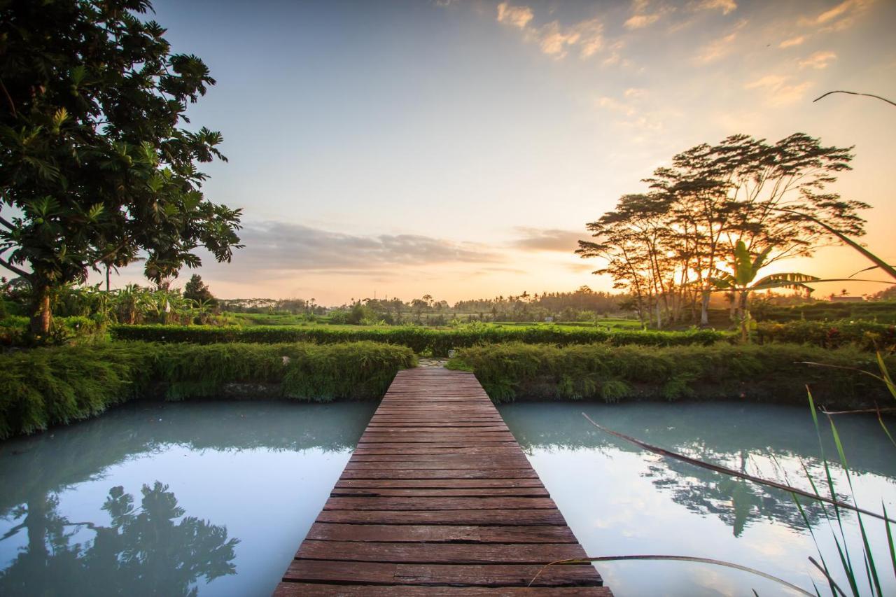 Mas  Griya Kcb Villa Ubud المظهر الخارجي الصورة